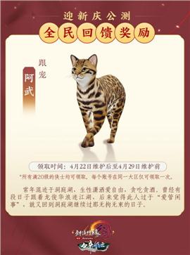 火神龙天龙八部私服